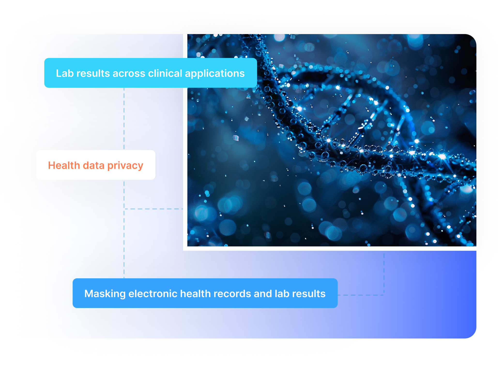 Healthcare & Life Sciences